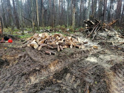 Дорога к поликлинике - 7.jpg